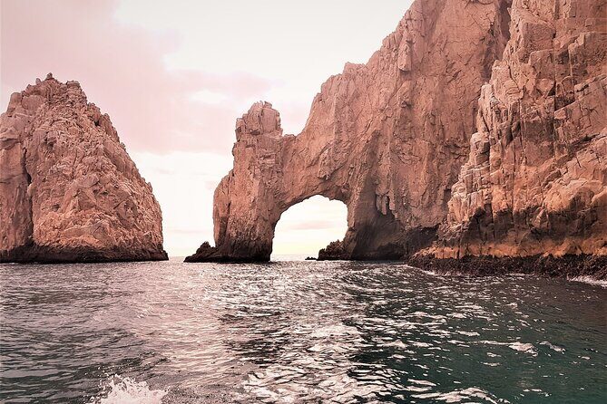 Morning Glory - Key Points