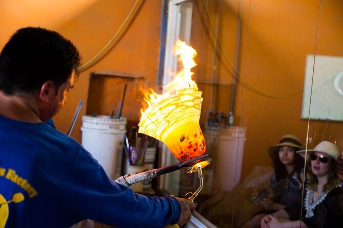 Morning Glory - FAQs