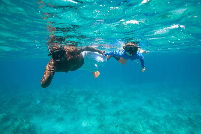 Morning Half Day Cruise from Providenciales with Snorkeling and Iguana Island - The Value of This Experience