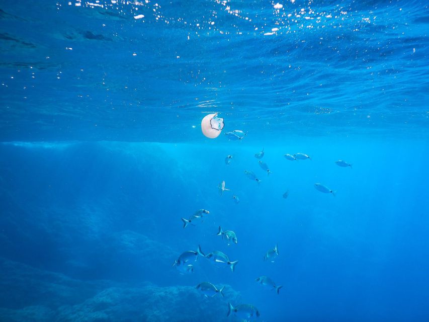 Morning Kayak & Snorkeling Tour Levanto: Outdoor & Adventure - Kayaking and Snorkeling