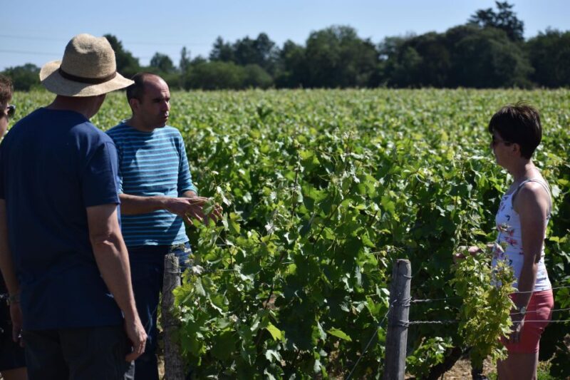 Morning - Loire Valley Wine Tour & Food Pairing, Vouvray - Customer Reviews and Feedback