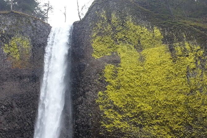 Morning Multnomah Falls and Gorge Waterfalls Tour - Reviews