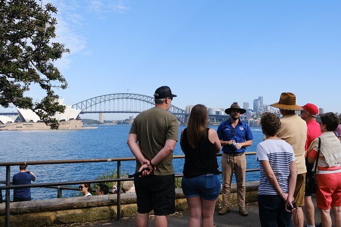 Morning or Afternoon Half-Day Sydney City Sightseeing Tour - An Honest, Detailed Look at the Experience