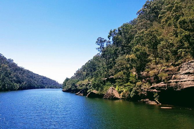 Morning Paddlewheeler Cruise in the Gorge - What Makes This Experience Stand Out