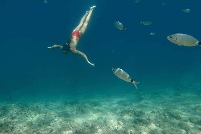 Morning panorama & swimming with a fishes - Final Thoughts