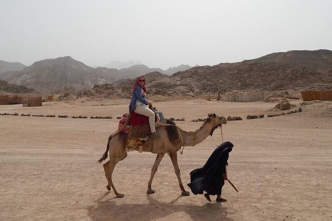 Morning Quad Bike - Good To Know