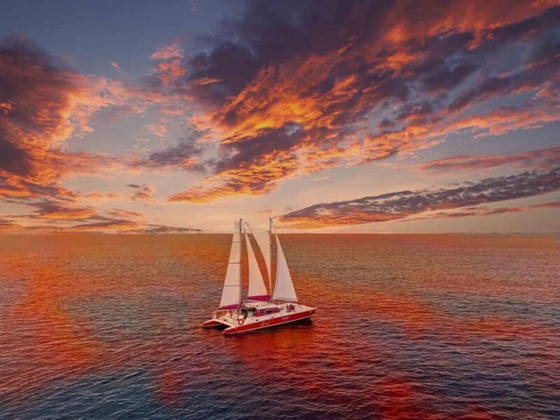 Morning Snorkeling or Sunset Sail to Boca Catalina With BBQ - Food and Drinks: BBQ and Unlimited Beverages