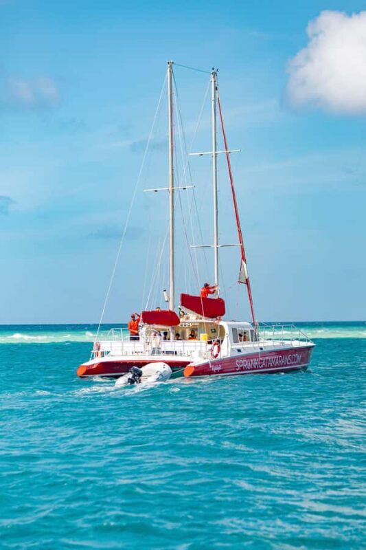 Morning Snorkeling or Sunset Sail to Boca Catalina With BBQ - Equipment and Extras: Snorkel Gear and SUP Boards