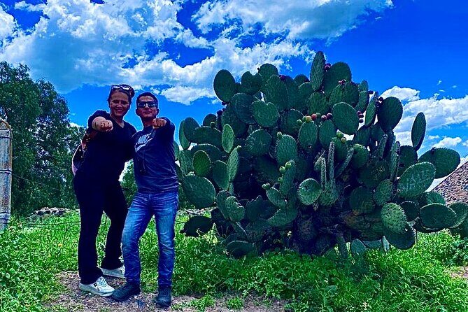 Morning Tour of the Teotihuacan Pyramids - The Sum Up