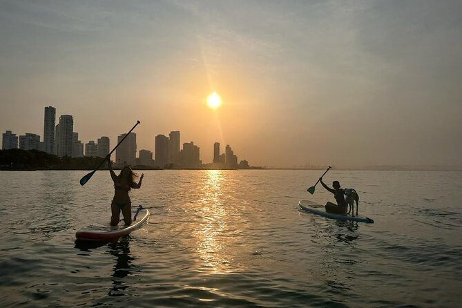 MORNING TOUR Paddleboard or Kayak - Traveler Reviews