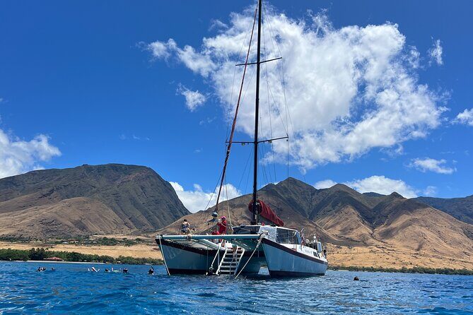 Morning Turtle Town Snorkel at Coral Gardens - The Practical Details