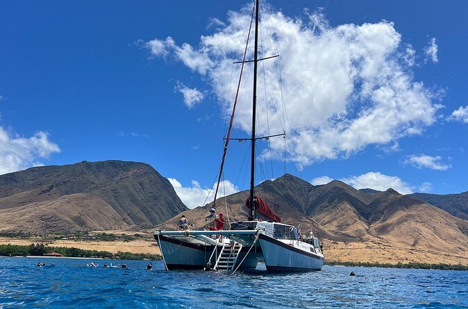 Morning Turtle Town Snorkel at Coral Gardens - What Past Travelers Say