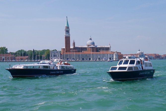 Morning Venice Lagoon Cruise: Murano Island and Burano Island - Meeting and Accessibility