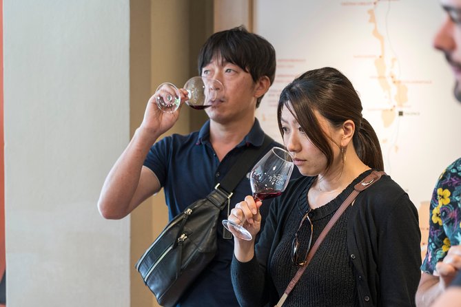 Morning Wine Tour to Chateauneuf Du Pape From Avignon - Itinerary Highlights