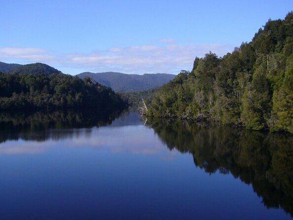 Morning World Heritage Cruise on the Gordon River From Strahan - Customer Experiences