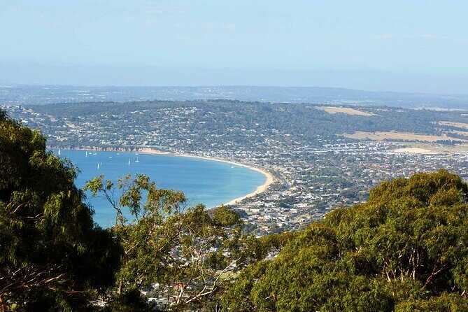 Mornington Peninsula Boutique Wine and Lunch Small Group Tour - Practical Details That Matter