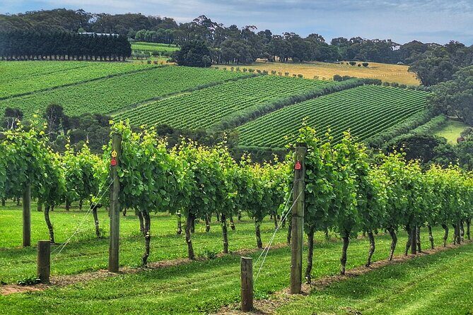 Mornington Peninsula Day Tour. Your Day Your Way. Your group only - A Closer Look at the Mornington Peninsula Day Tour