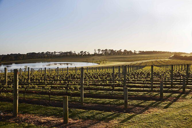 Mornington Peninsula Food and Wine Taste Trail - In-Depth Look at the Itinerary