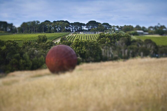 Mornington Peninsula Food and Wine Taste Trail - Who Should Consider This Tour?