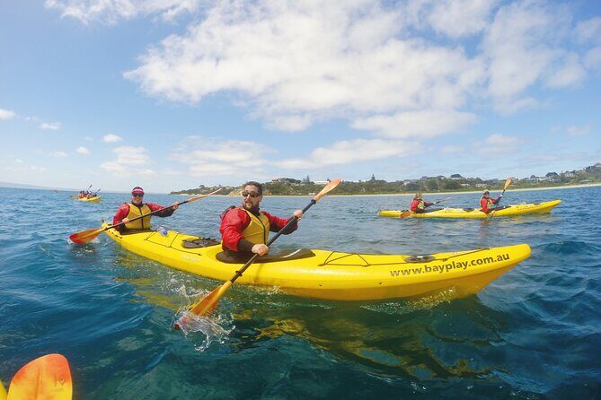 Mornington Peninsula Kayak Coastline Tour of Dolphin Sanctuary - Authentic Experiences and Authentic Wildlife Encounters