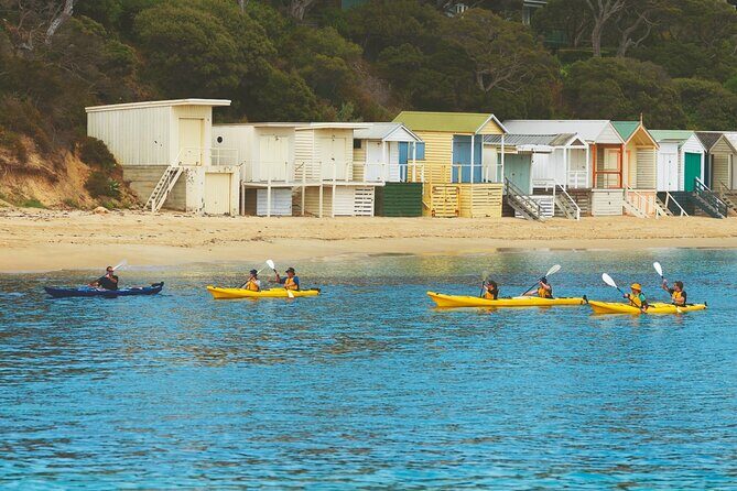 Mornington Peninsula Kayak Coastline Tour of Dolphin Sanctuary - Who Will Love This Tour?