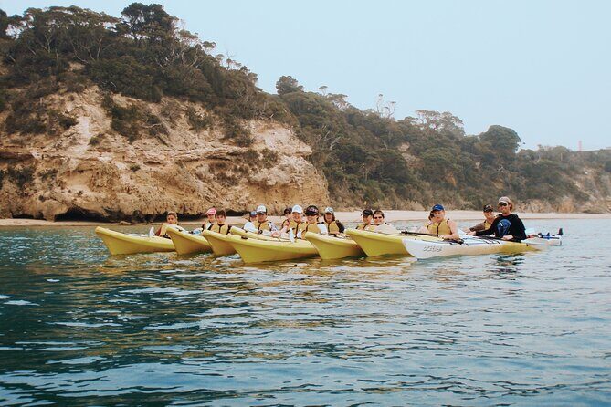Mornington Peninsula Kayak Coastline Tour of Dolphin Sanctuary - FAQ
