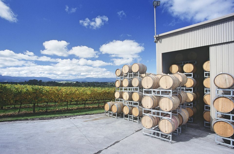 Mornington Peninsula Scenic Bus Tour With Chairlift & Lunch - Important Information