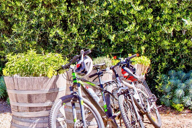 Mornington Peninsula Self-Guided Bike Tour | Food & Wine Region - An In-Depth Look at the Mornington Peninsula Self-Guided Bike Tour
