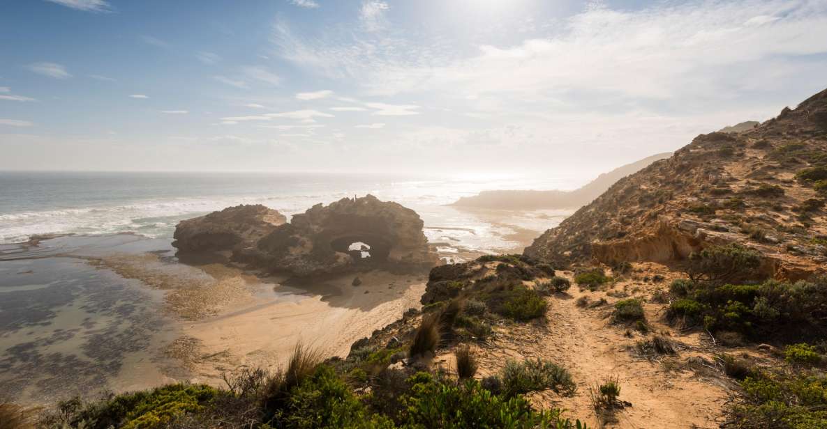 Mornington Peninsula: Sightseeing Tour With Bay Sailing - Itinerary