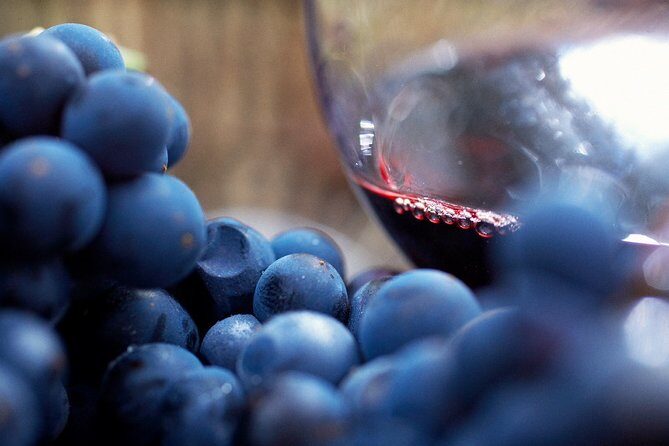 Mornington Peninsula Small Group Rare Hare or Merricks Wine Store - A Closer Look at the Itinerary