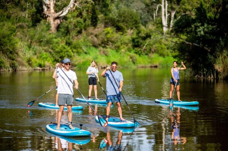 Mornington Peninsula: SUP & Snorkel Safari Tour incl Brunch - Key Points