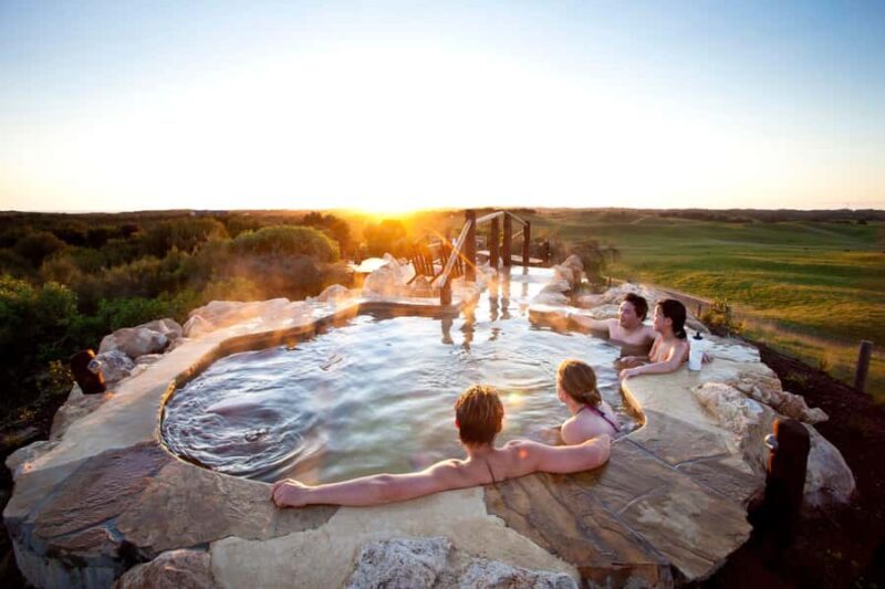 Mornington Peninsula Tour: wildlife, wine, art & hot springs - Discovering the Mornington Peninsula: A Detailed Tour Review