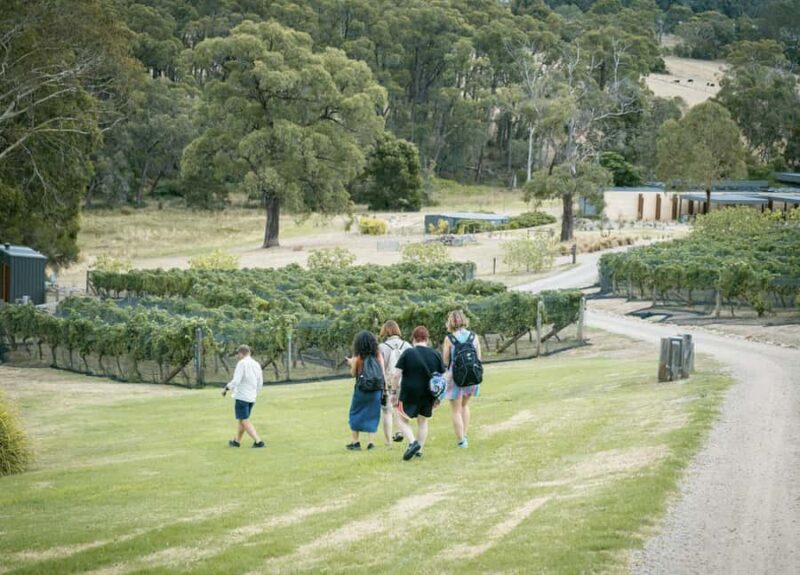 Mornington Peninsula: Transfers, Food and Wine Tour - A detailed look at the Mornington Peninsula Food and Wine Tour