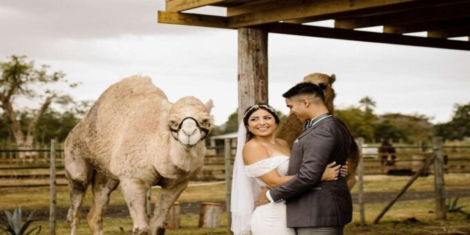 Moroccan Luxury Wedding Ritual: Full Romantic Experience - Customer Testimonials