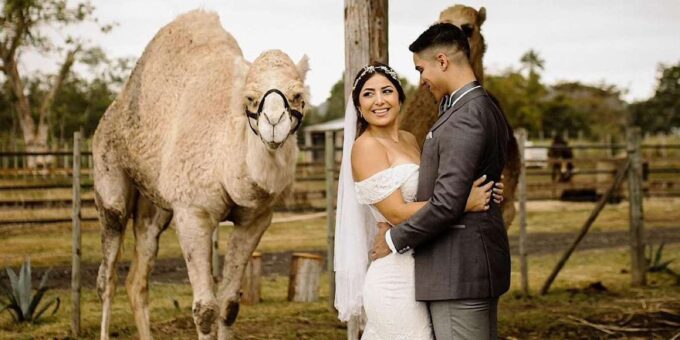 Moroccan Luxury Wedding Ritual: Full Romantic Experience - Frequently Asked Questions