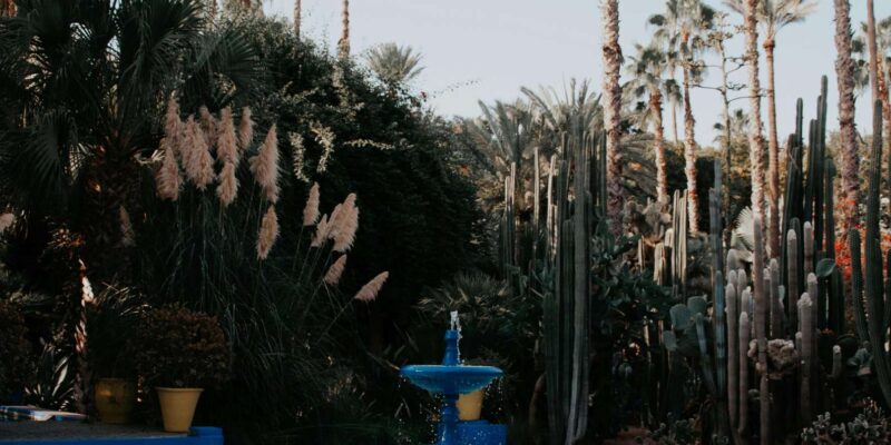 Morocco 14-DAY Private Luxury Tour From Tangier to Marrakech - Camel Trek Into the Sahara