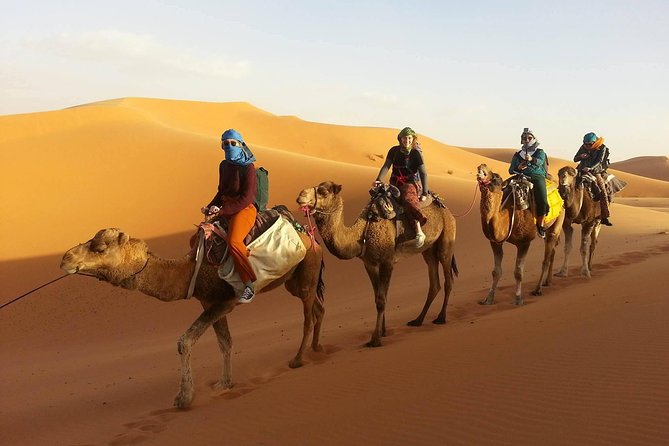 Morocco 9 Days Tour From Casablanca - Traveler Feedback
