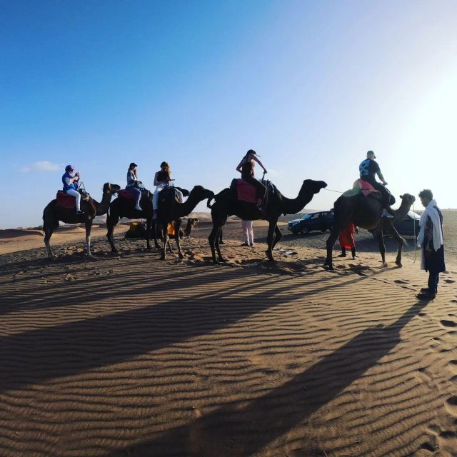 Morocco Camel Trekking, Morocco Sahara Desert From Marrakech - Itinerary and Experience