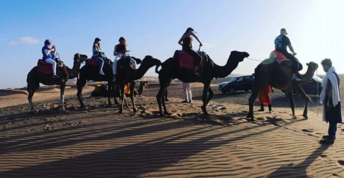 Morocco Camel Trekking, Morocco Sahara Desert From Marrakech - Taking in Moroccan Landscapes