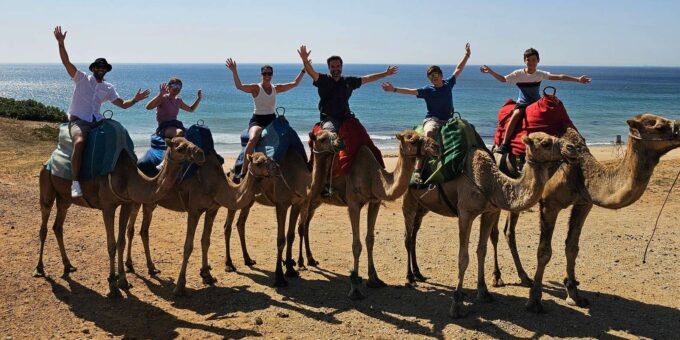 Morocco Express: Private Tour to Tangier From Seville - Pricing and Cancellation