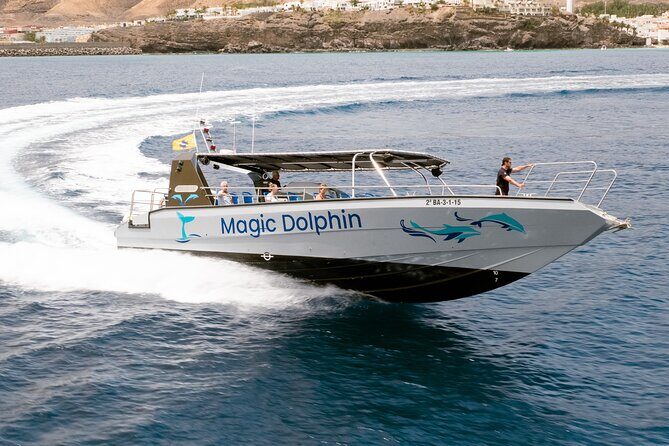 Morro Jable: 2 Hours Magic Dolphin & Whale watching with Drinks & Swim Stop. - FAQ