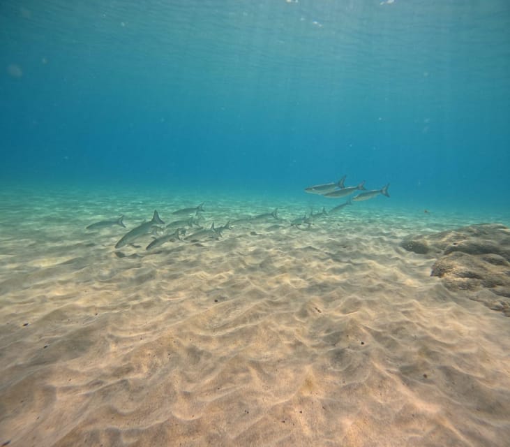 Morro Jable: Discover Scuba Diving Experience for Beginners - Itinerary Details