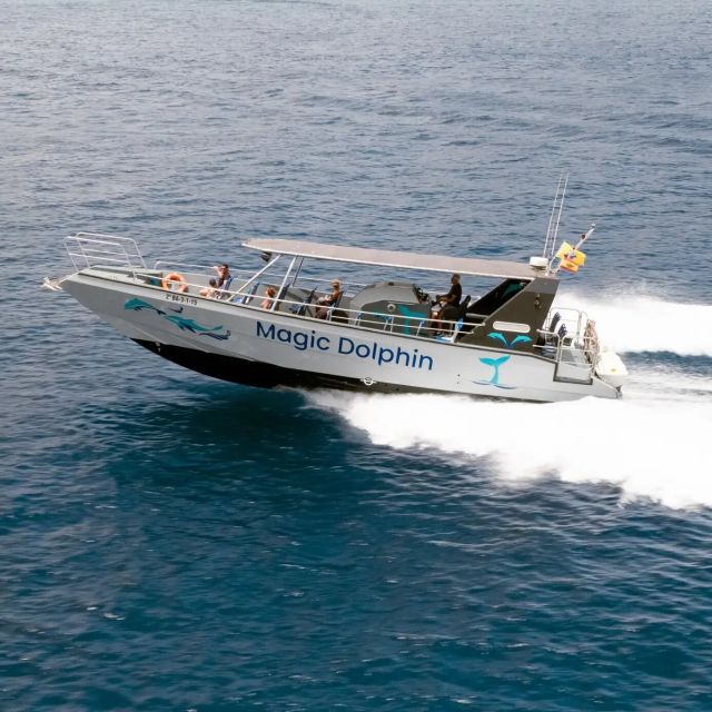 Morro Jable: Dolphin & Whale Watching Cruise, Drinks & Swim - Pickup and Meeting Point