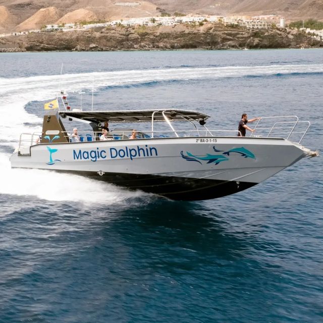 Morro Jable: Dolphin & Whale Watching Cruise, Drinks & Swim - Customer Ratings and Feedback