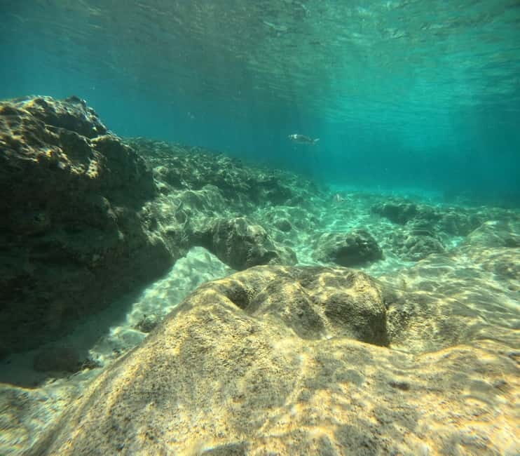 Morro Jable: Try Diving Experience for Beginners - Why Consider This Tour?