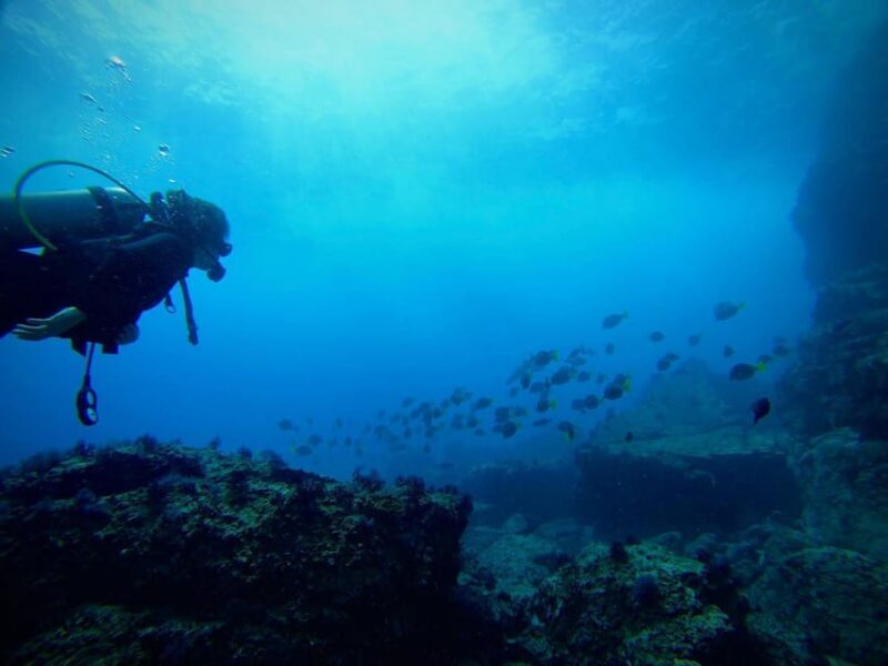 Morros de Potosi: Dive into the Mysteries of the Night - The Experience Provider: Mero Adventure Buceo
