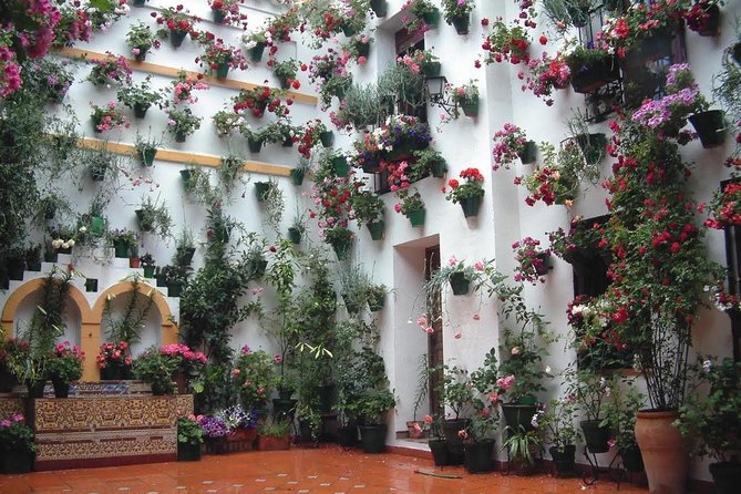 Mosque, Alcazar of the Christian Monarchs and Juderia - Accessibility and Safety Considerations