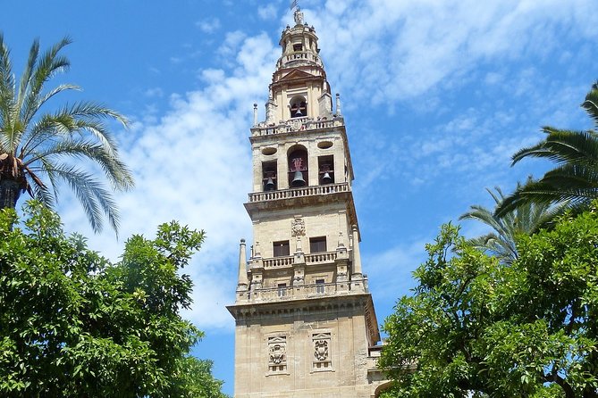 Mosque-Cathedral Cordoba Guided Tour With Priority Access - Group Size and Participation