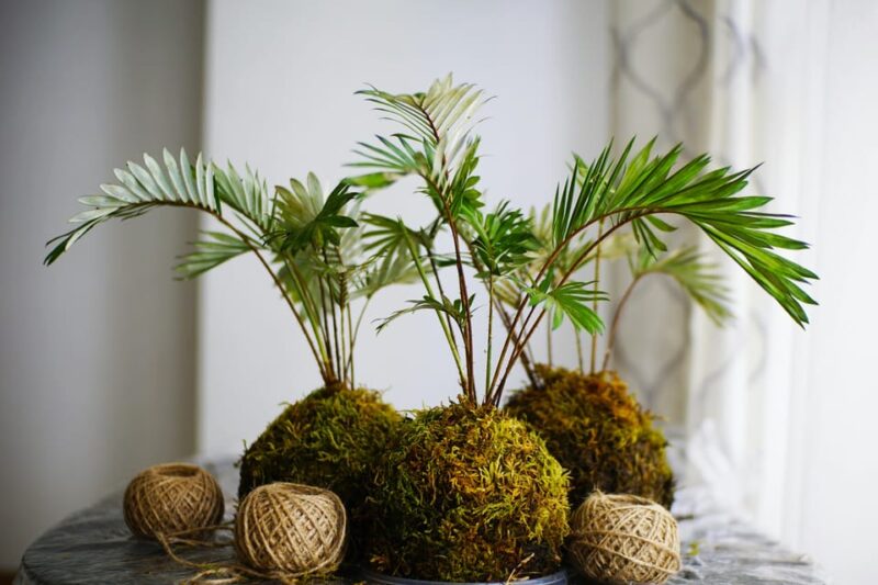 Moss & Floral Frame Making Workshop - Engaging in the Meditative Process of Floral Creation