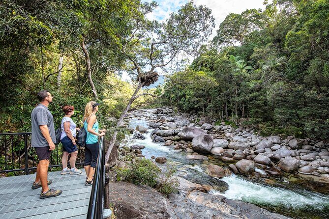 Mossman Gorge Adventure Day - A Detailed Look at the Mossman Gorge Adventure Day